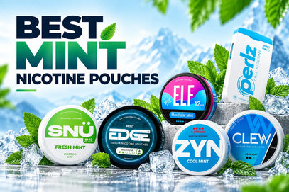 Best Mint Nicotine Pouches