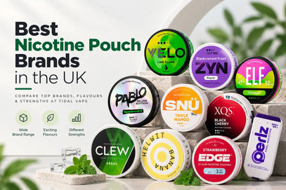 Best Nicotine Pouch Brands in the UK