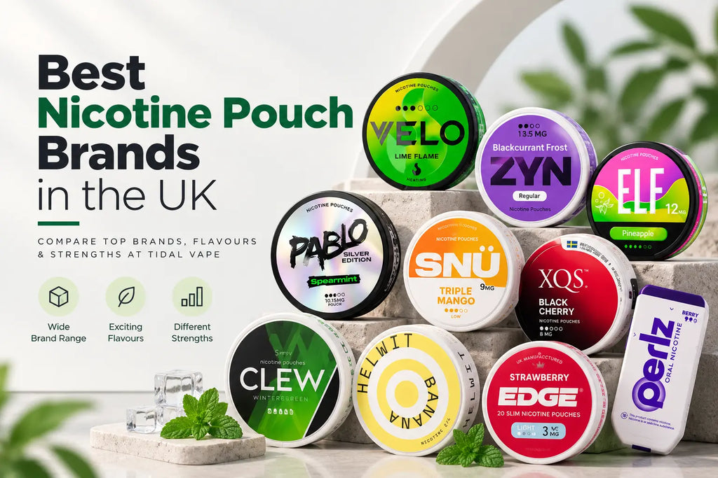 Best Nicotine Pouch Brands in the UK