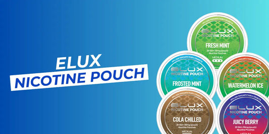 Elux Nicotine Pouches Review