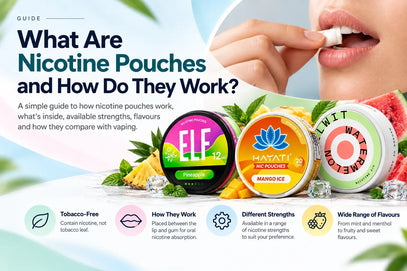 What Are Nicotine Pouches and How Do They Work?