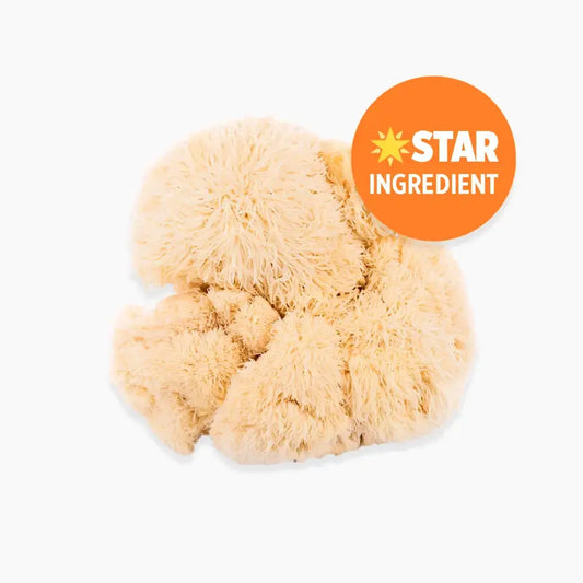 Orange County Lion's Mane Extract 240,000mg