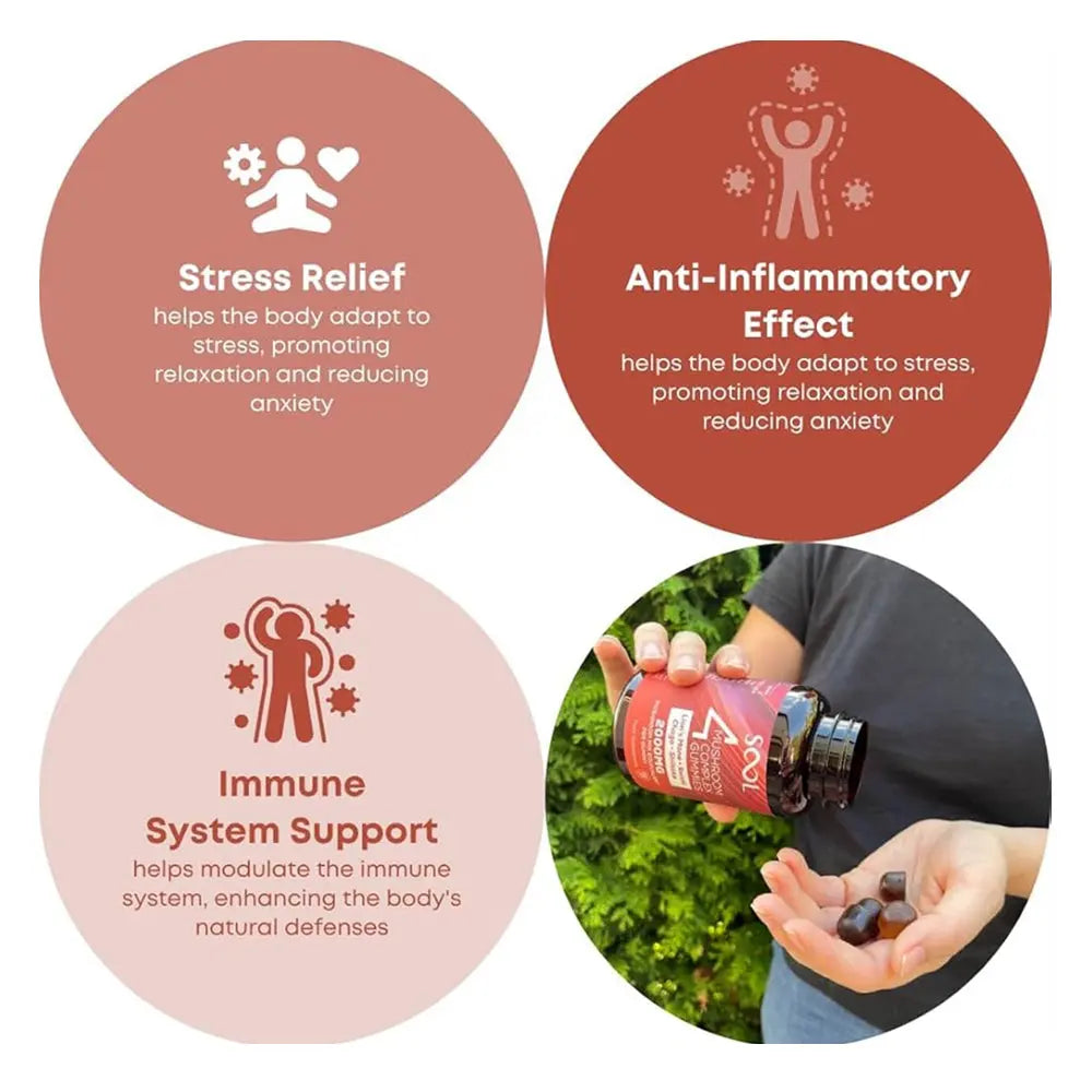 SOOL 4 Mushroom Complex Gummies 60pcs - 2000mg Sool