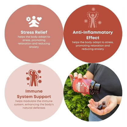 SOOL 4 Mushroom Complex Gummies 60pcs - 2000mg Sool