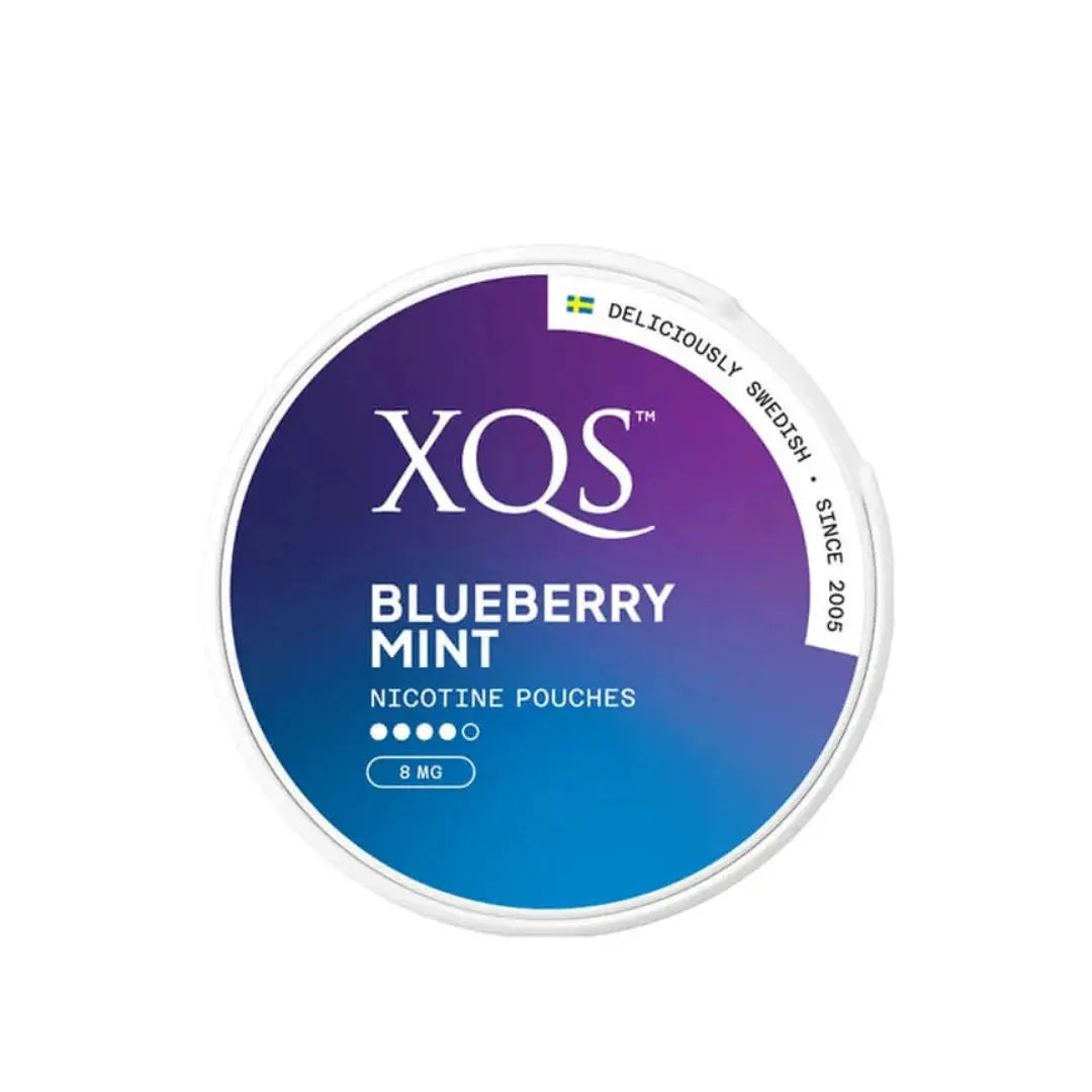 XQS Blueberry Mint Nicotine Pouches - 8mg